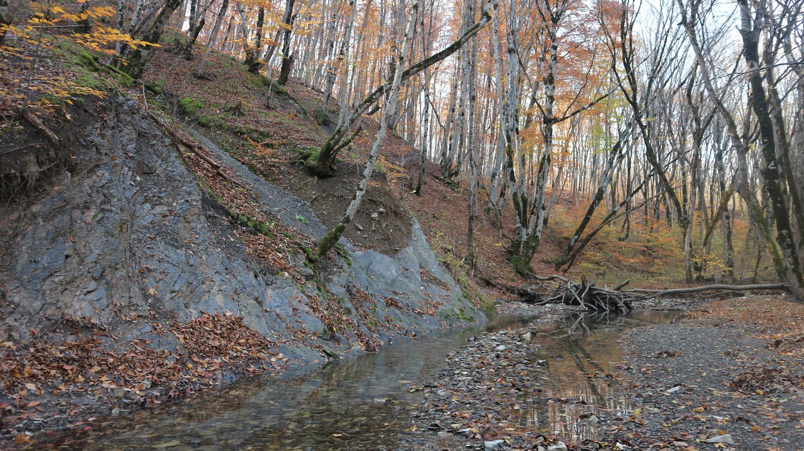 Урочище Липки, image of landscape/habitat.