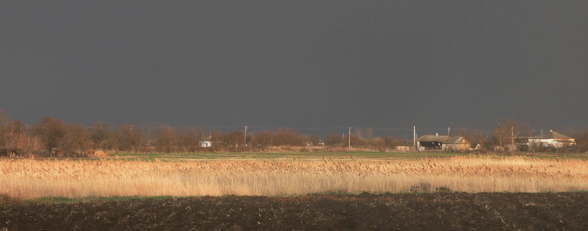 Сага, image of landscape/habitat.