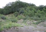 Image of landscape