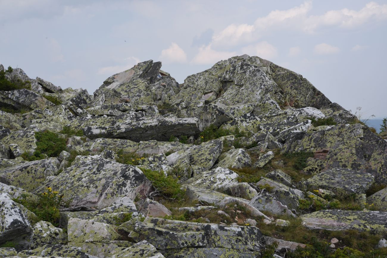 Круглица, image of landscape/habitat.