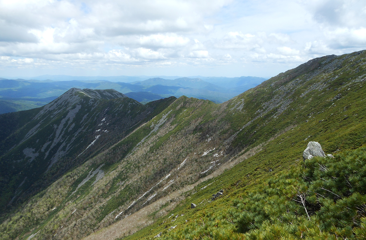 Гора Облачная, image of landscape/habitat.
