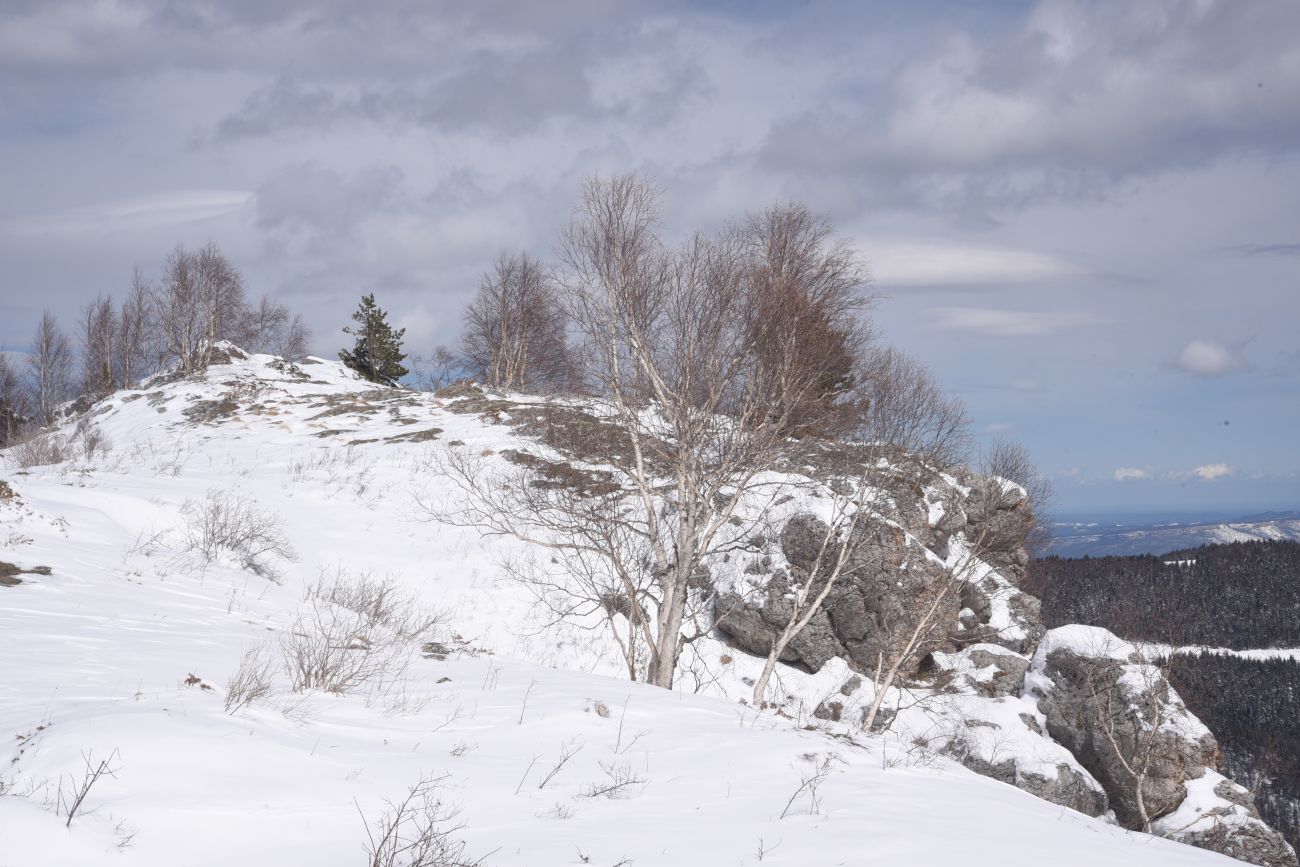 Окрестности ретранслятора, image of landscape/habitat.