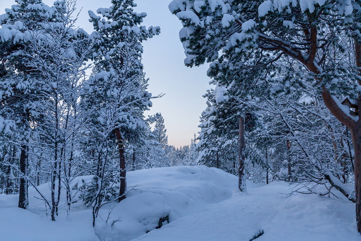 Мурманск, image of landscape/habitat.