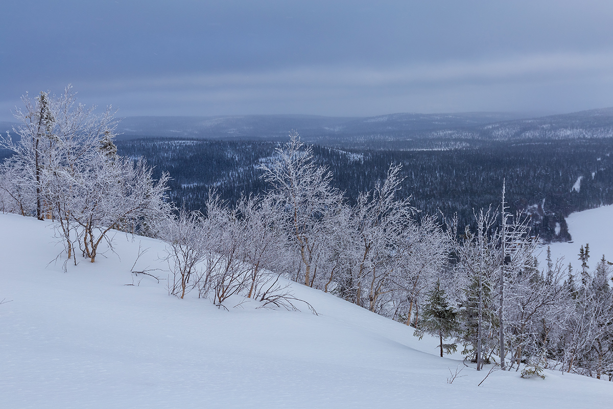 Гора Ельнюн, image of landscape/habitat.