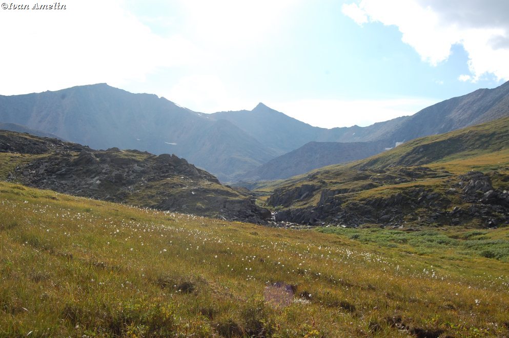 Шумак-гол, image of landscape/habitat.