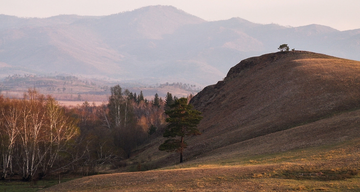 Озеро Абрамовское, image of landscape/habitat.