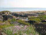 Image of landscape
