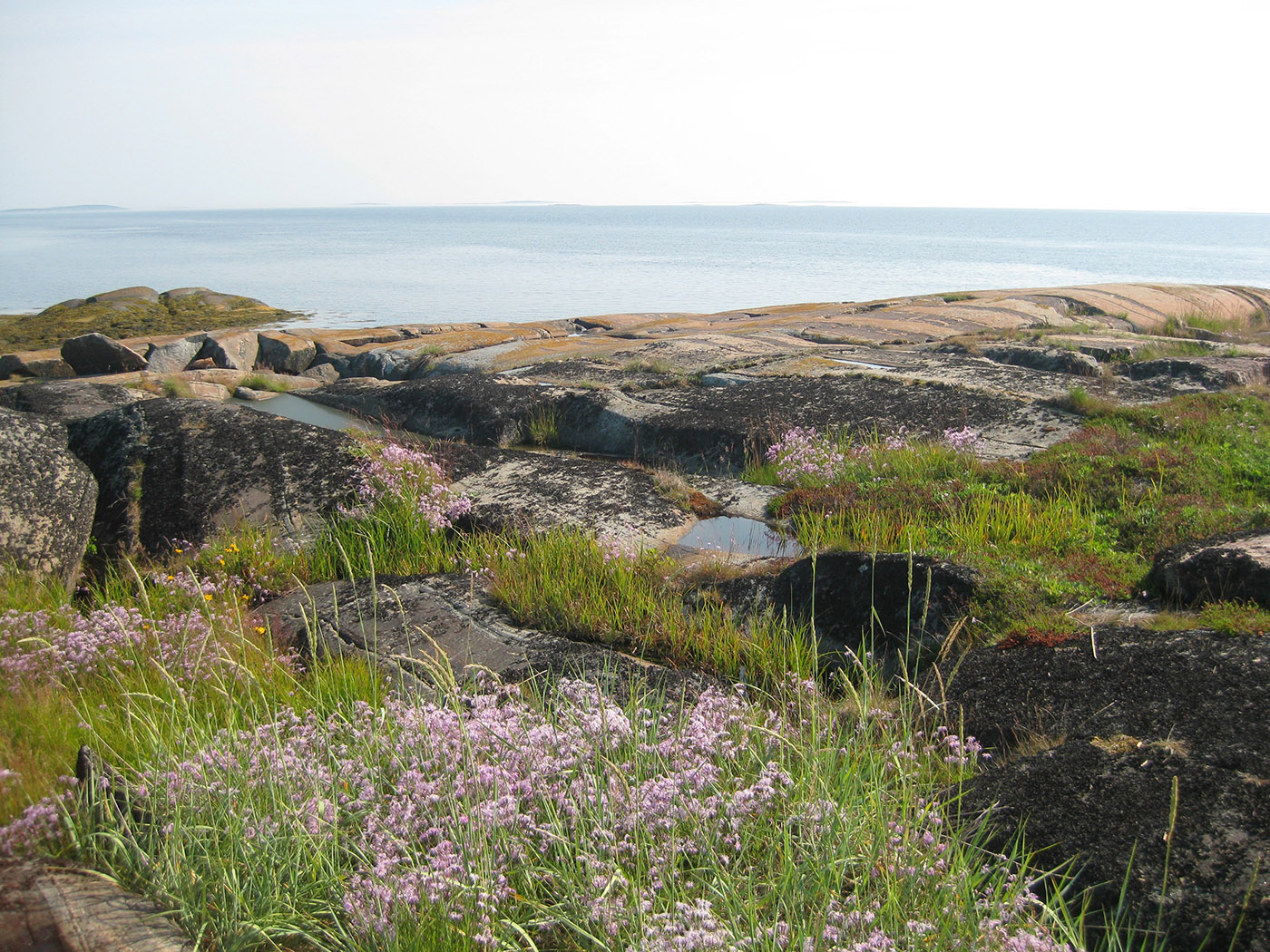 Рабочеостровск и окрестности, image of landscape/habitat.