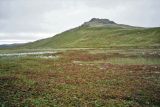 Image of landscape