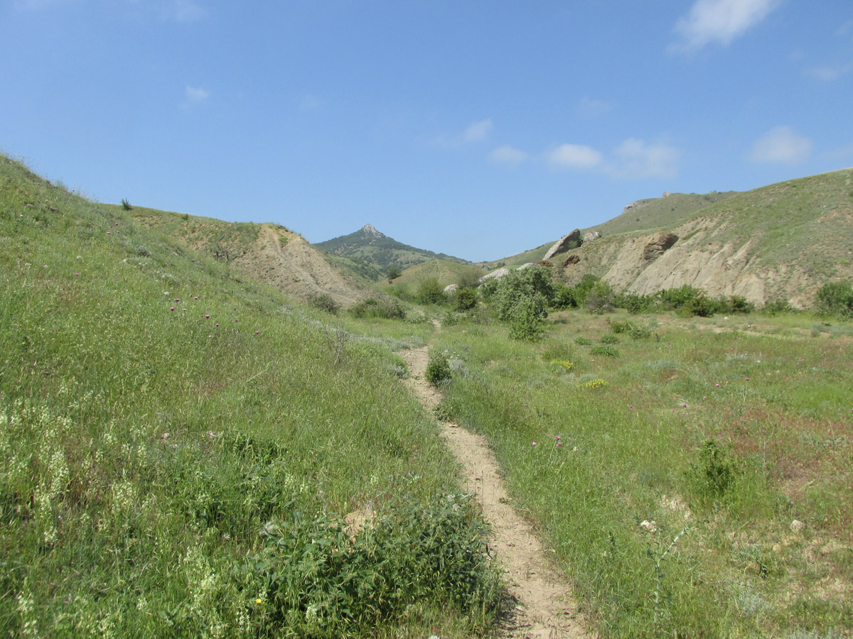 Лисья бухта, изображение ландшафта.