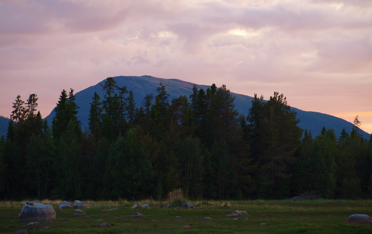 Лувеньгские Тундры, image of landscape/habitat.