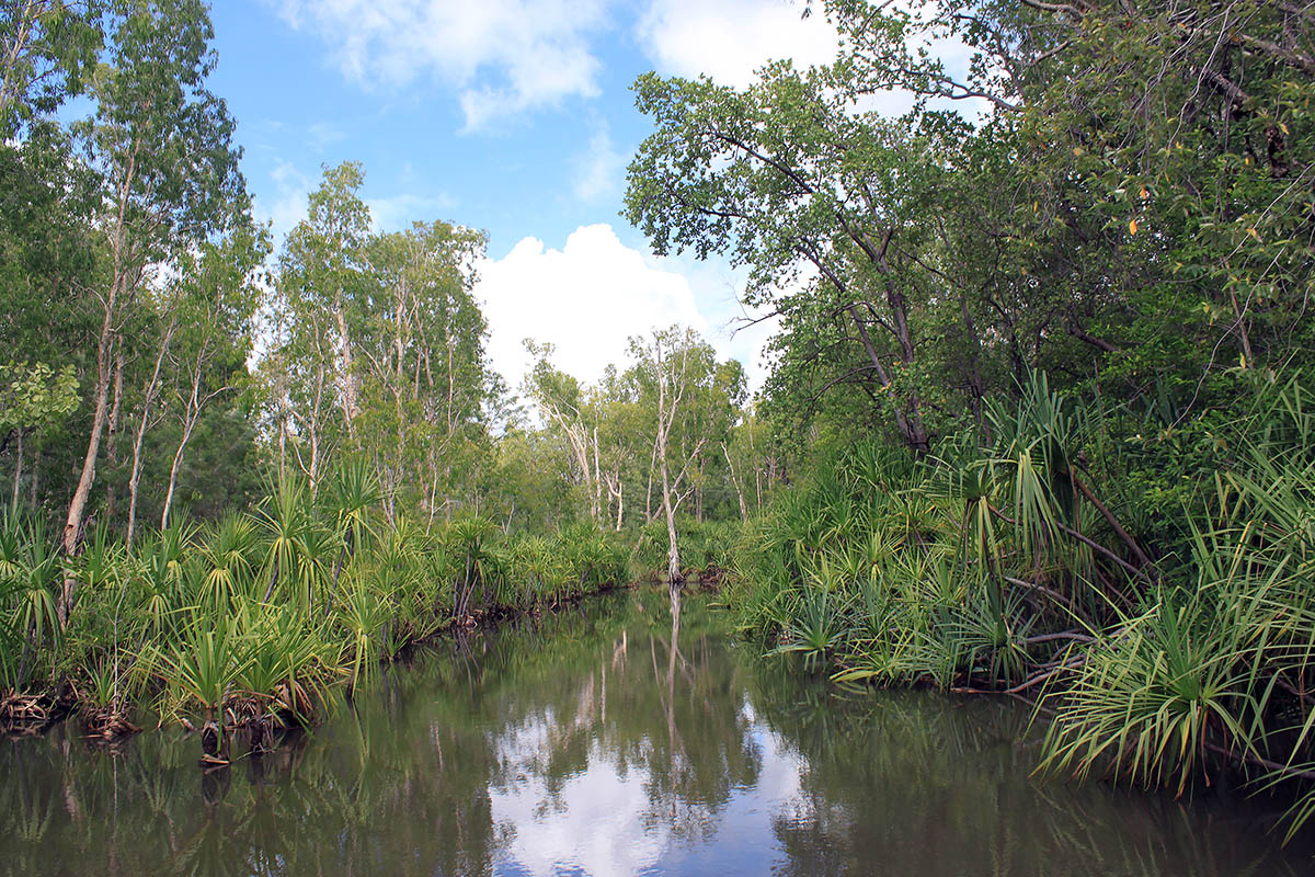 Kakadu, image of landscape/habitat.