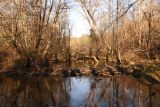 Вокруг хутора учителей Дёшиных, image of landscape/habitat.