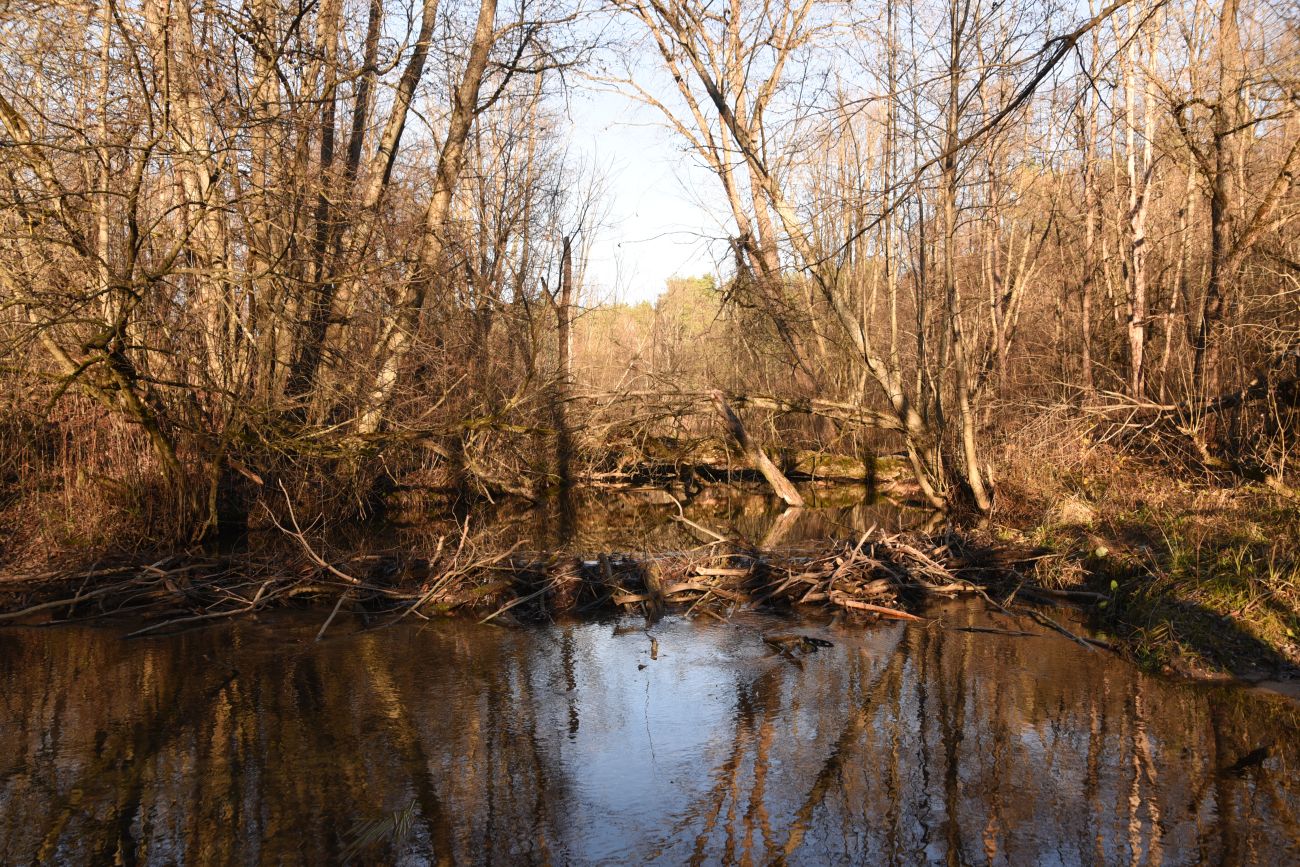 Вокруг хутора учителей Дёшиных, image of landscape/habitat.