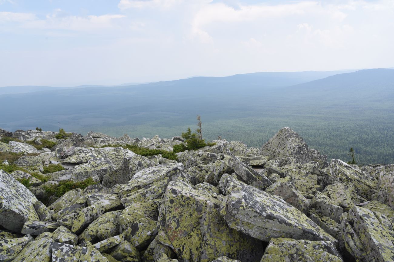 Круглица, image of landscape/habitat.