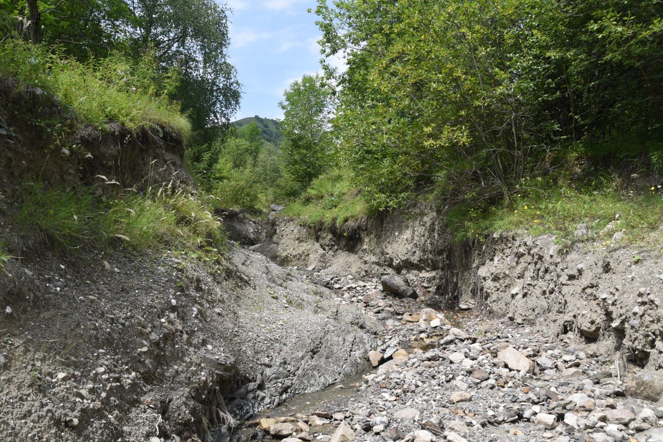Урочище Хоричу, image of landscape/habitat.