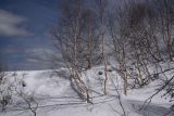 Image of landscape