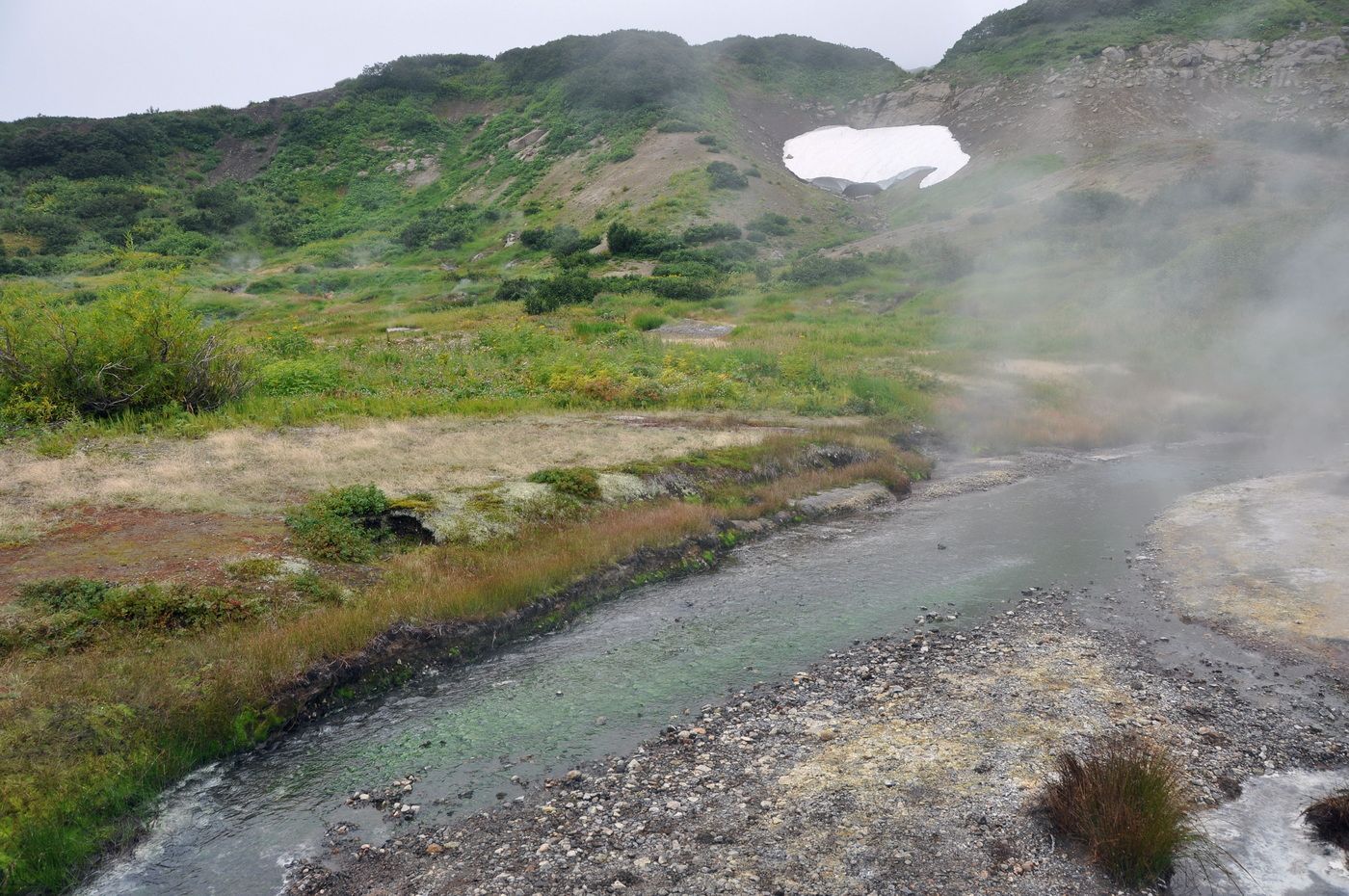 Дачные термальные источники, image of landscape/habitat.