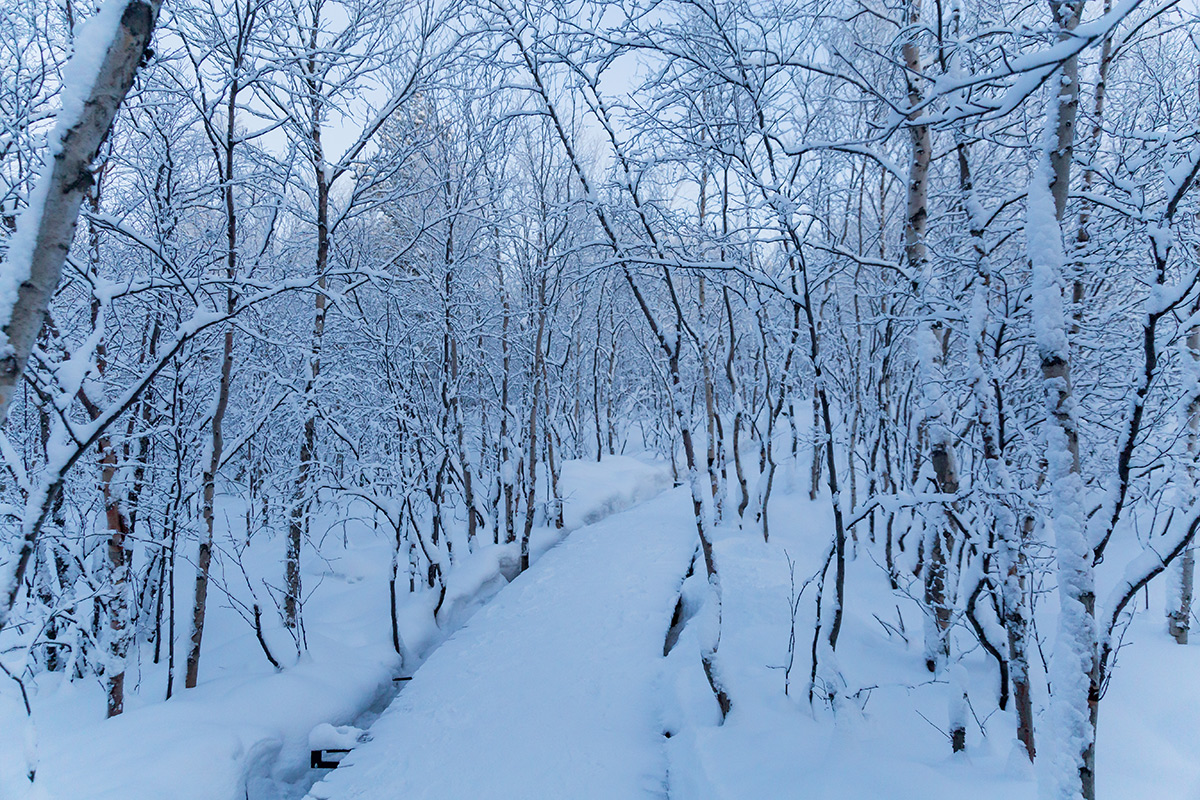 Мурманск, image of landscape/habitat.