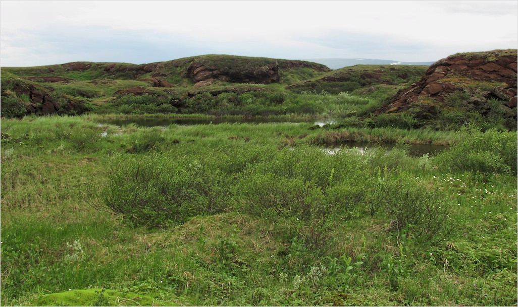 Лёкъелец, image of landscape/habitat.