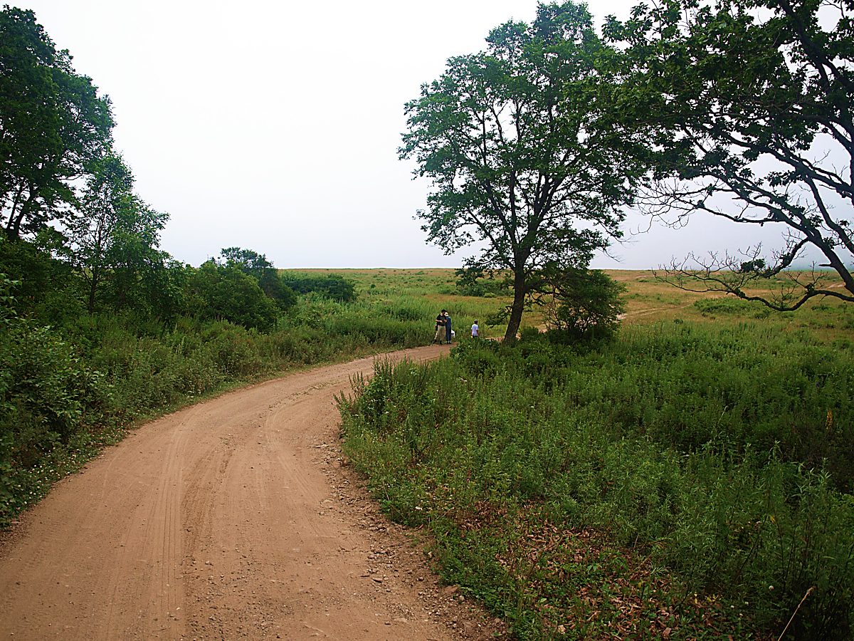 Бухта Красная Скала, image of landscape/habitat.