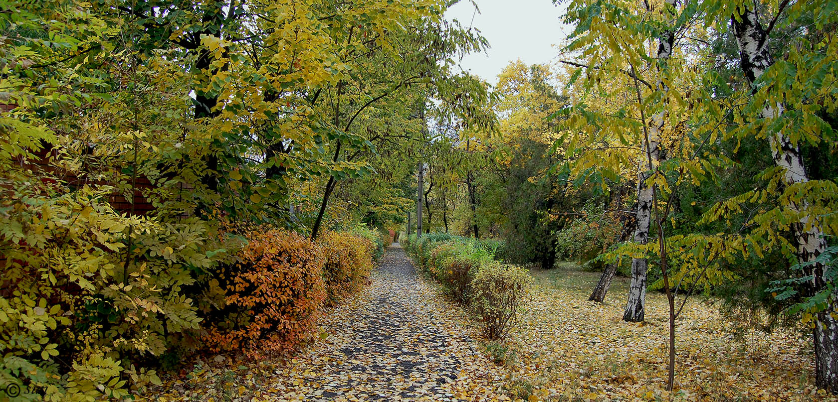 Луганск, image of landscape/habitat.