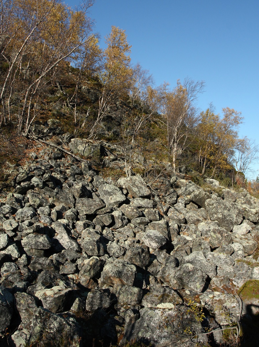 Могильный Ров, image of landscape/habitat.