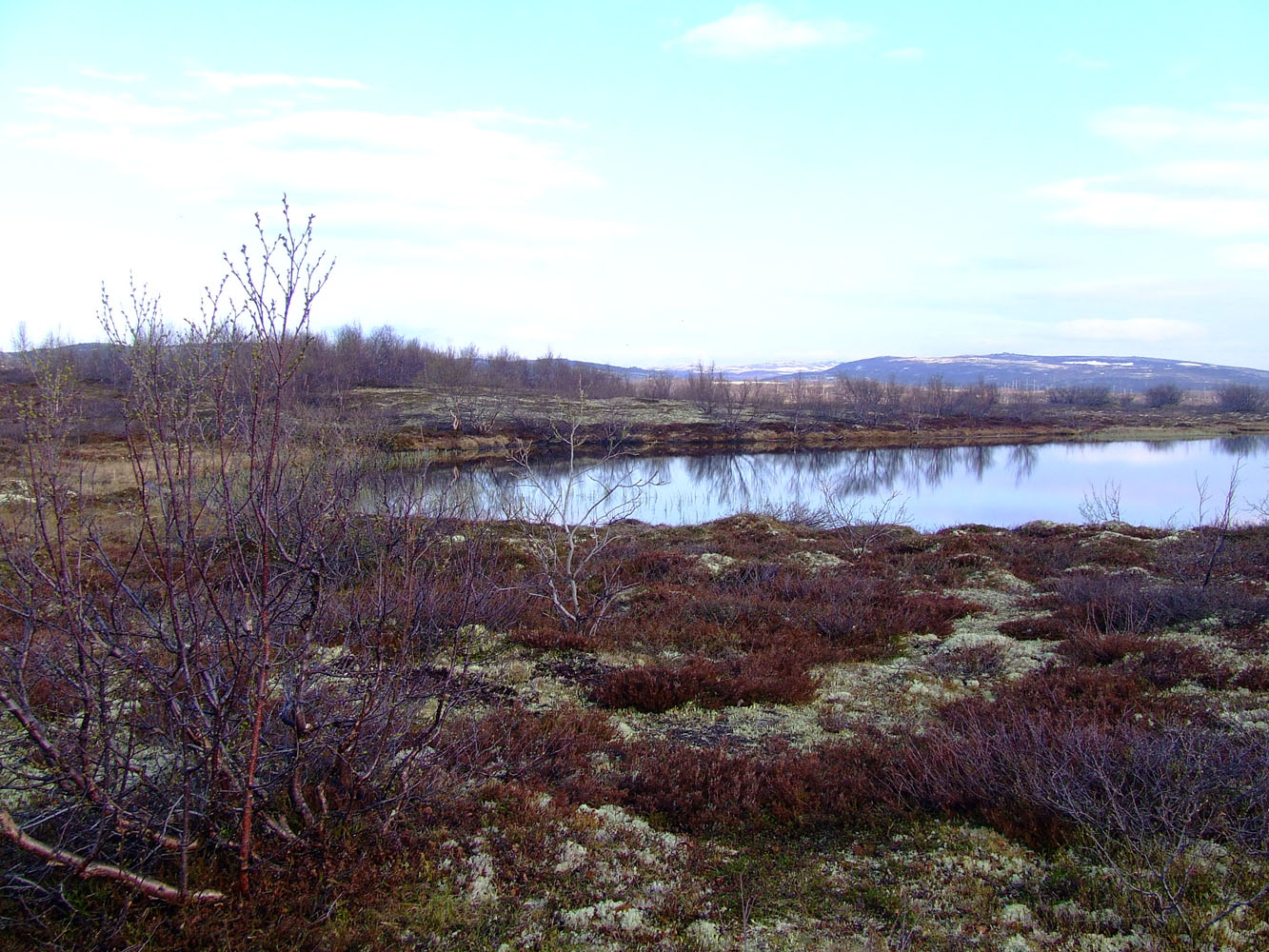 Туманный, image of landscape/habitat.