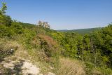 Image of landscape