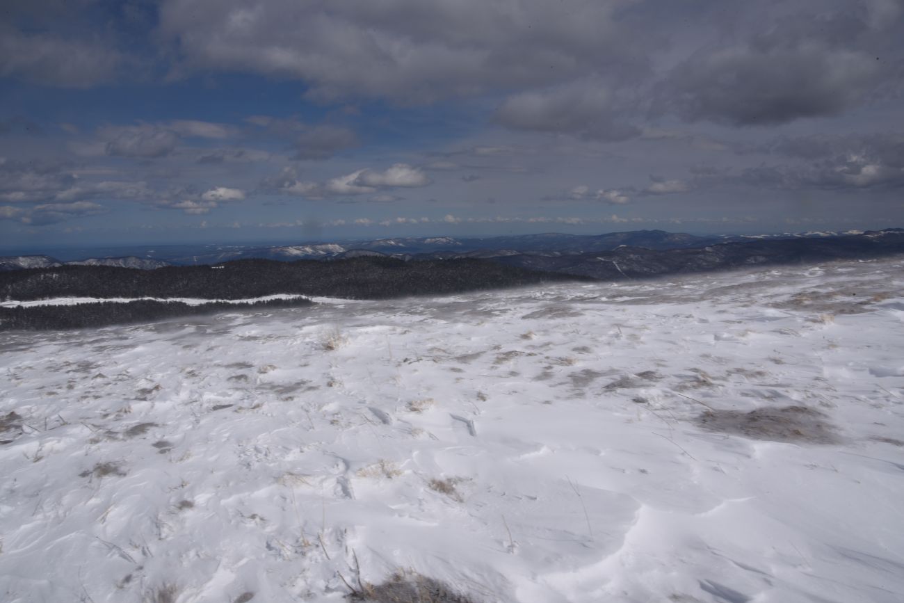 Окрестности ретранслятора, image of landscape/habitat.