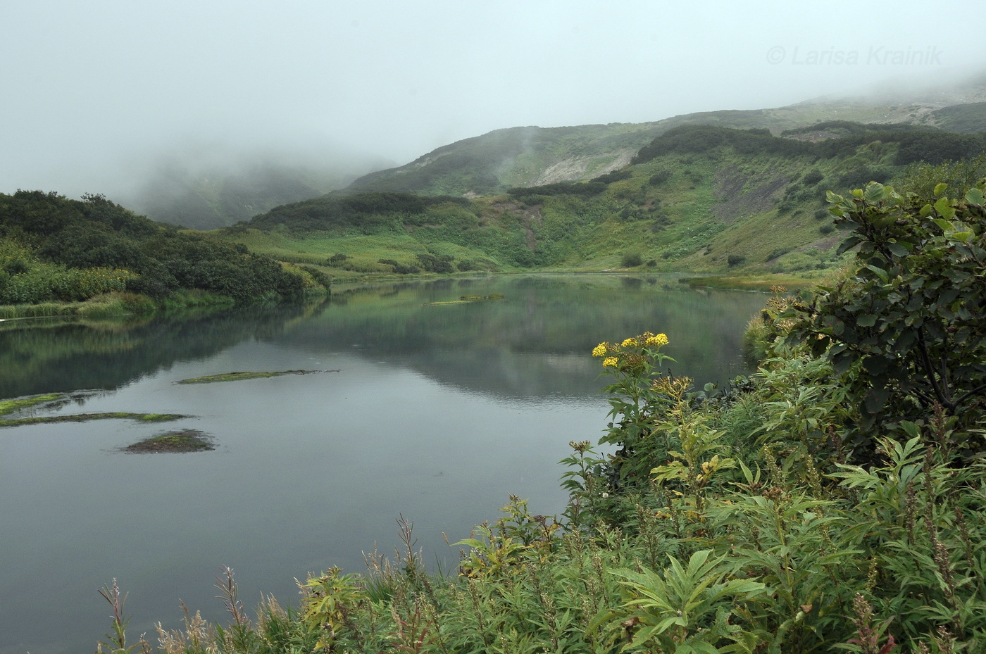 Дачные термальные источники, image of landscape/habitat.
