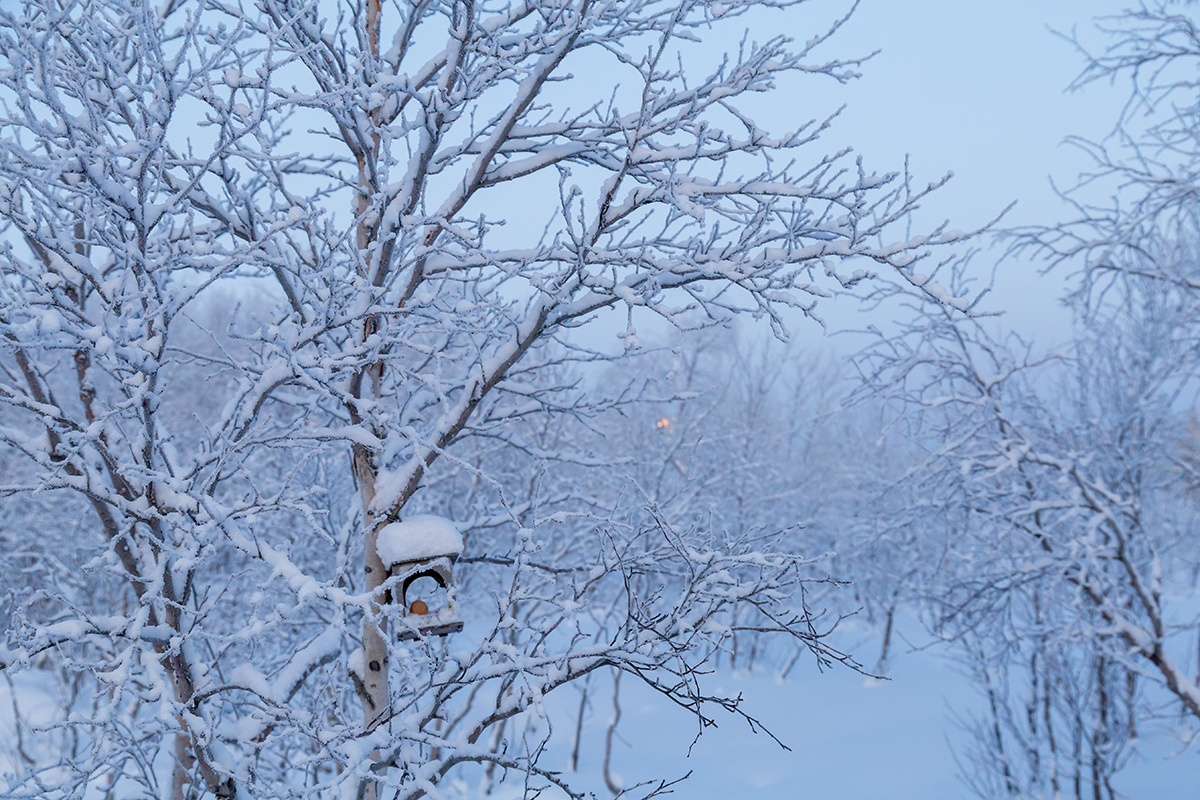 Мурманск, image of landscape/habitat.