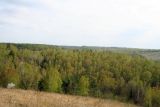 Трахтемиров, image of landscape/habitat.
