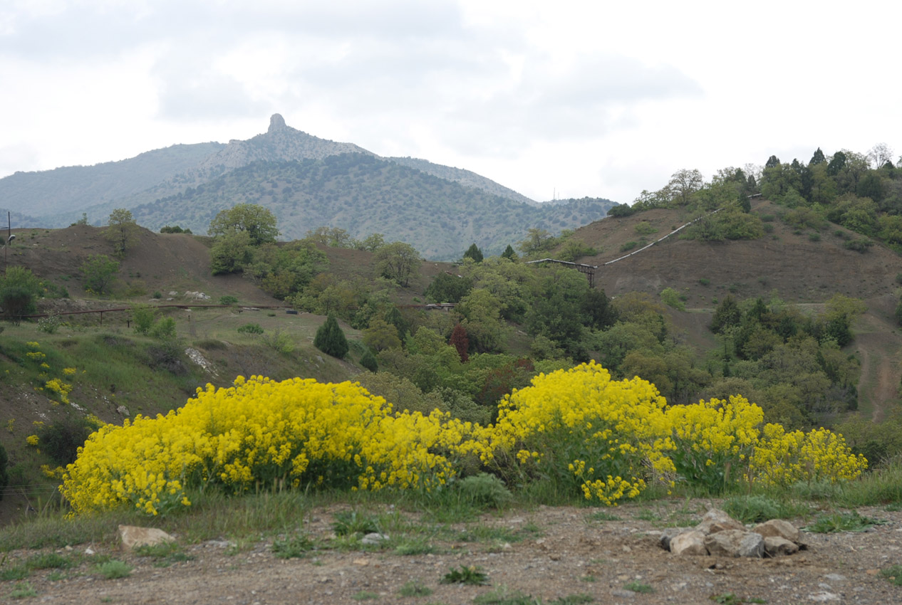 Кутлакская бухта, image of landscape/habitat.