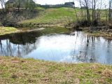Ломиха, image of landscape/habitat.