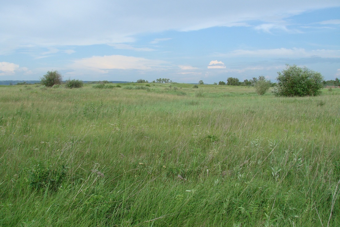 Биликтуй, image of landscape/habitat.