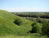 Берег Кубани в Усть-Лабинске, изображение ландшафта.