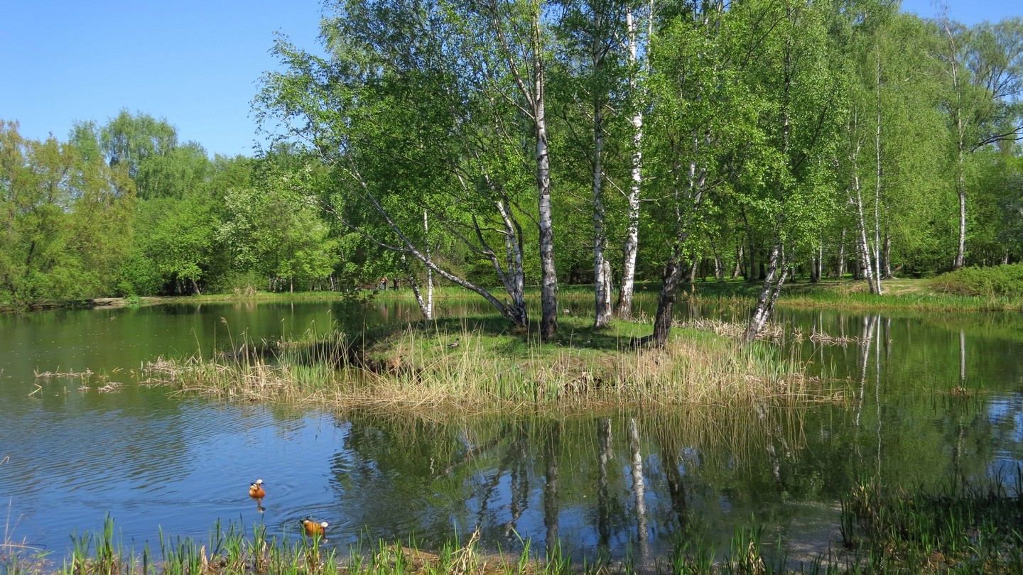 ГБС РАН, image of landscape/habitat.