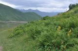 Image of landscape