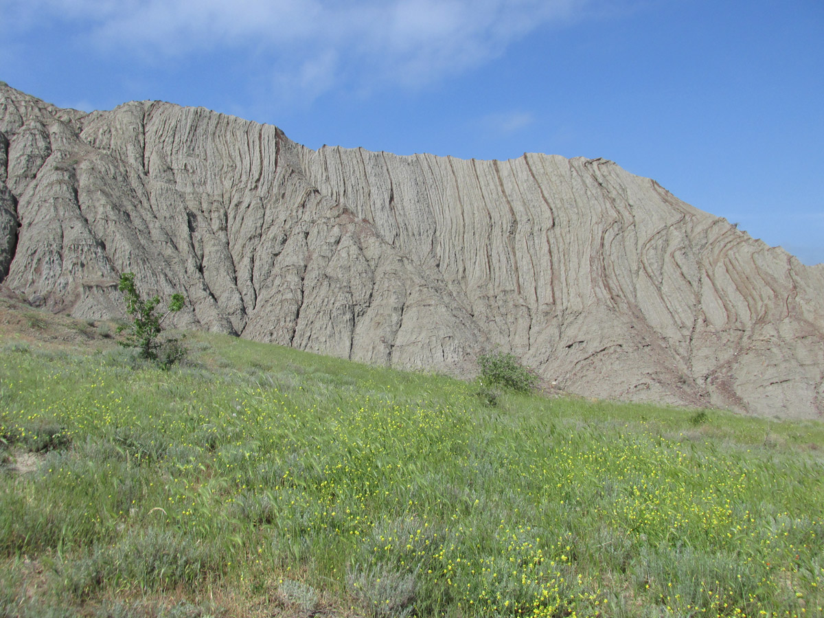 Лисья бухта, image of landscape/habitat.