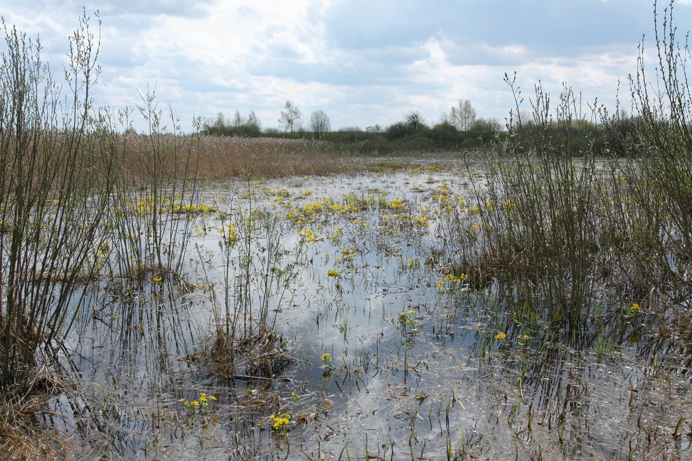 Езерище и окрестности, image of landscape/habitat.