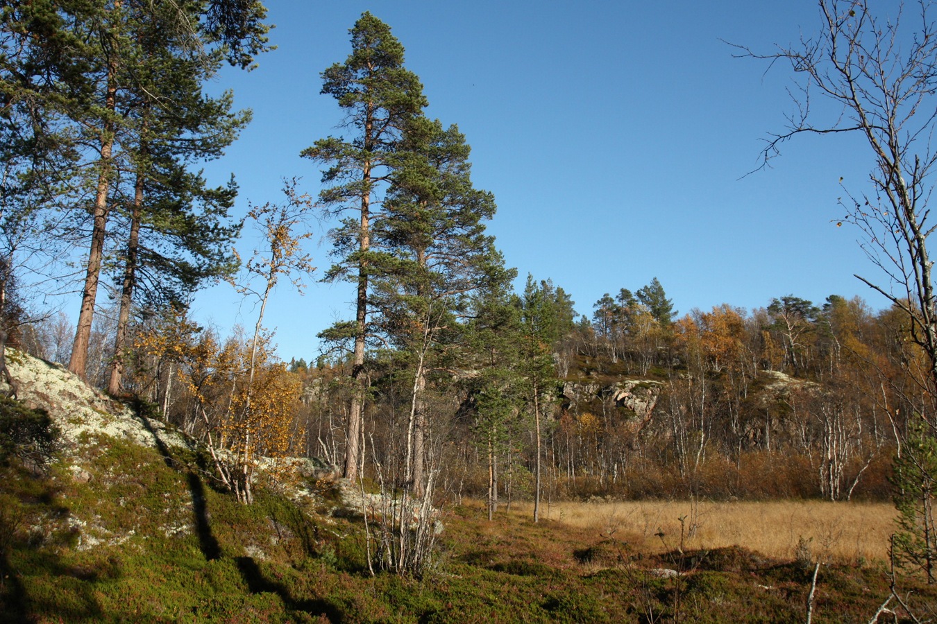 Могильный Ров, image of landscape/habitat.