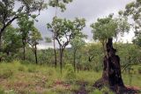 Image of landscape