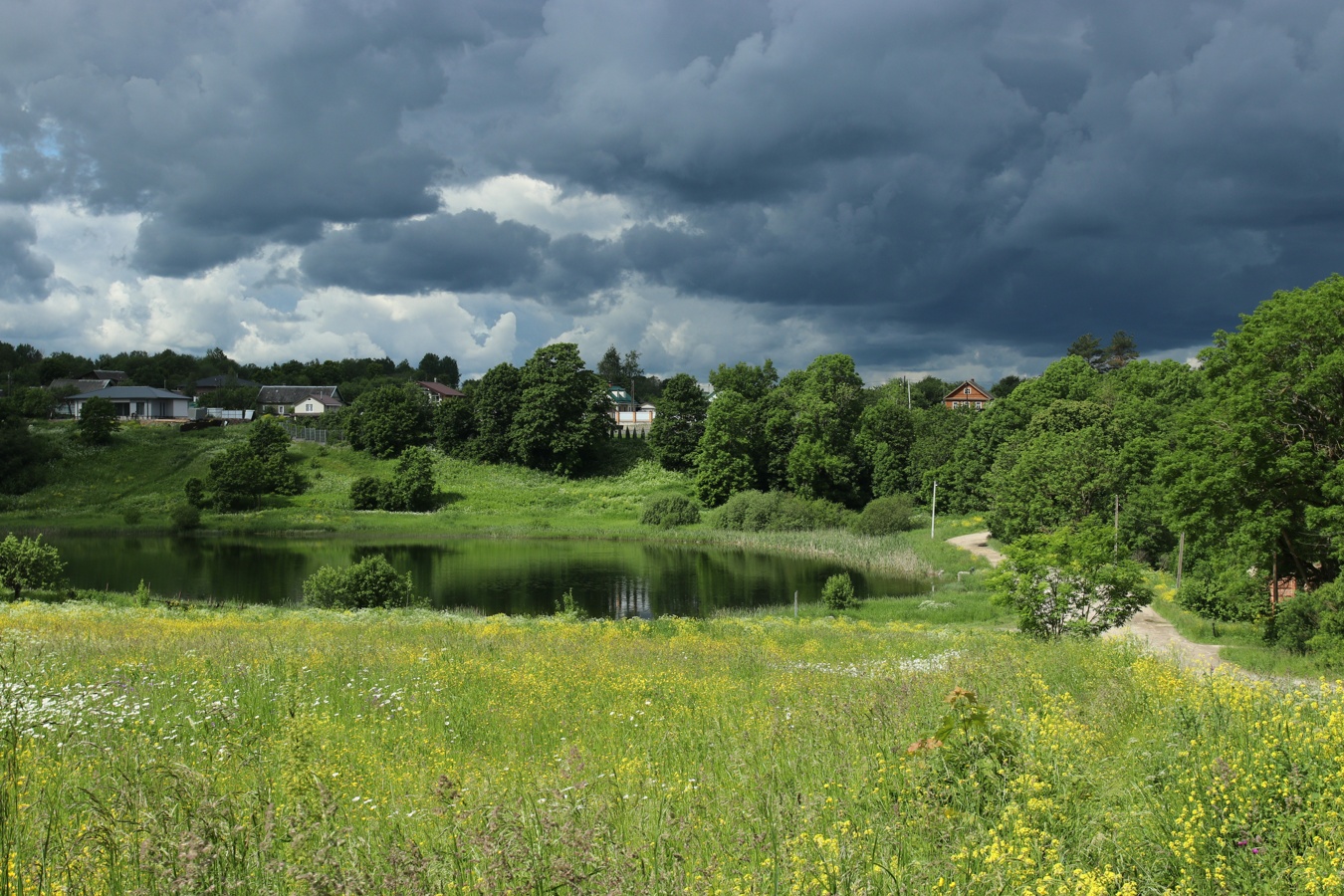 Гостилицы, image of landscape/habitat.