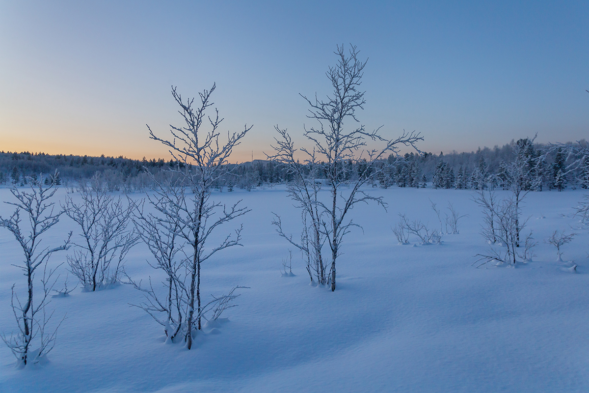 Мурманск, image of landscape/habitat.