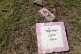 Изображение ландшафта