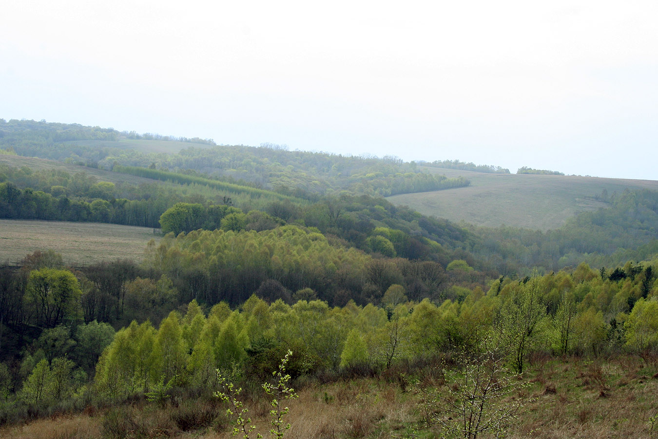 Трахтемиров, image of landscape/habitat.