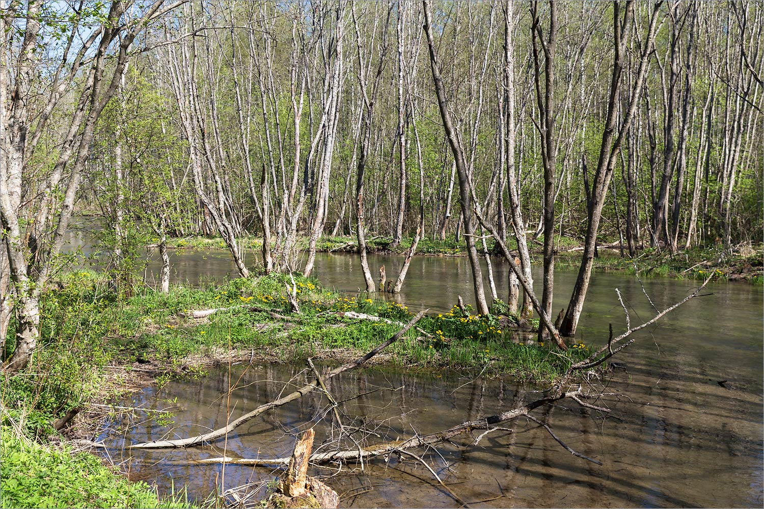 Истоки Шингарки, image of landscape/habitat.