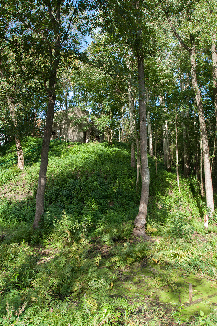 Западный Котлин, image of landscape/habitat.