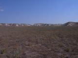 Image of landscape
